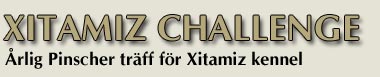 xitamiz challenge logo