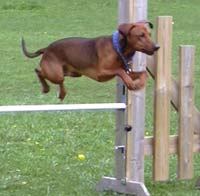 Xitamiz Lupuz, copyright Marie