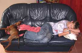 Xitamiz Samwize Gamgee, copyright Konnie