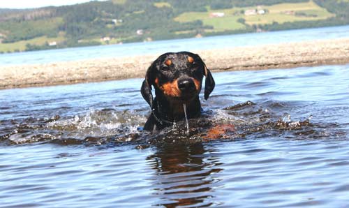 Xitamiz Trayan badar, copyright Majken