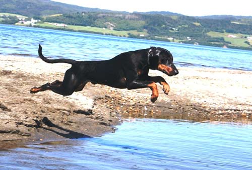 Xitamiz Trayan, copyright Majken