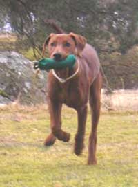 Xitamiz Orcan, copyright Heidi