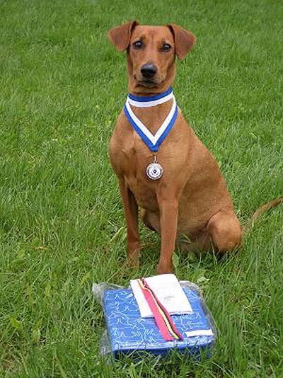 Obedience prize