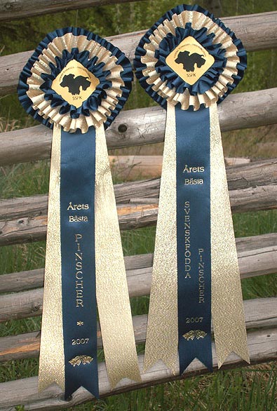 Kaxe ribbons