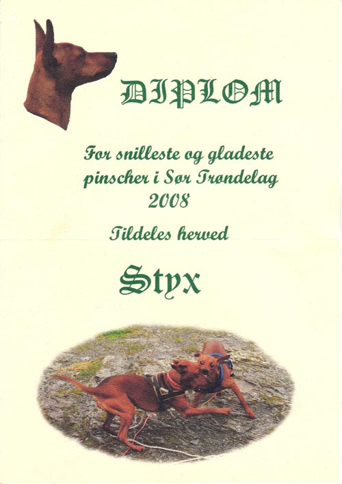 Diploma for friendly and happy dog