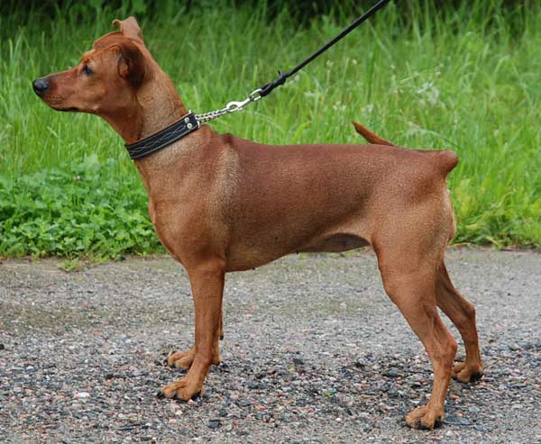 Yapon xizmatchisidan ajoyib minut