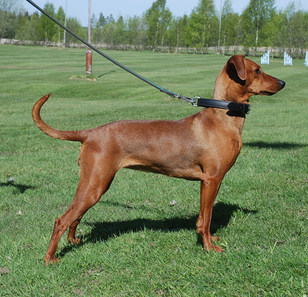 Xitamiz Yva 19 months