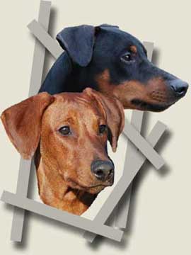 Xitamiz Pinscher logo