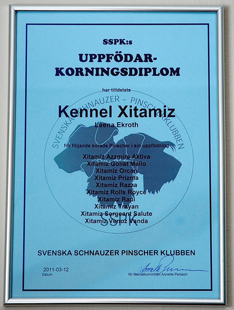 uppfKornings diplom