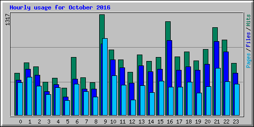 Hourly usage for October 2016