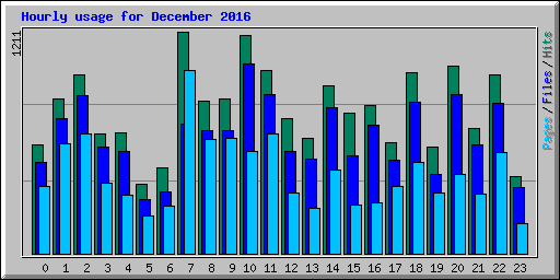 Hourly usage for December 2016