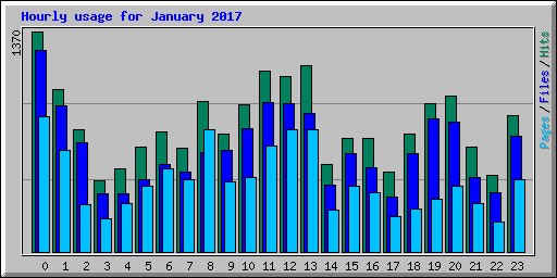 Hourly usage for January 2017
